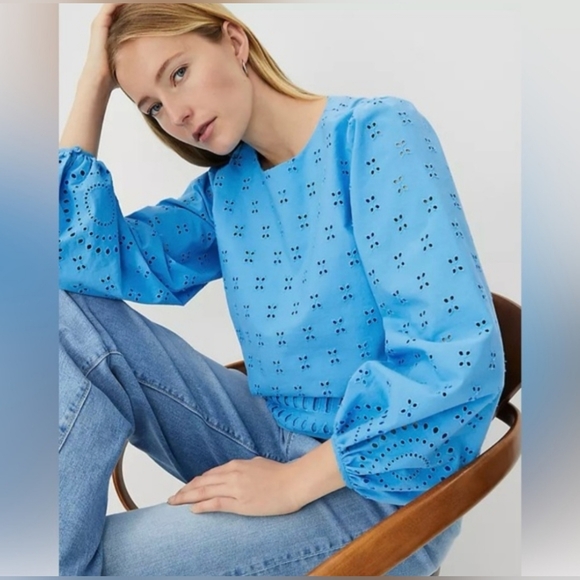 Ann Taylor Womens Eyelet Blouse Womens Size Large! - Picture 3 of 4